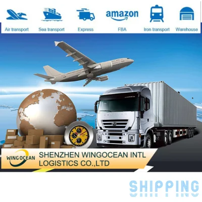 Wingocean Logistics 経由で中国から米国への海/空/速達サービス